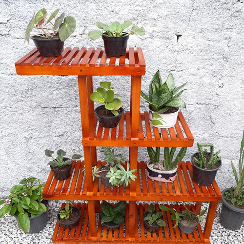 estante para plantas